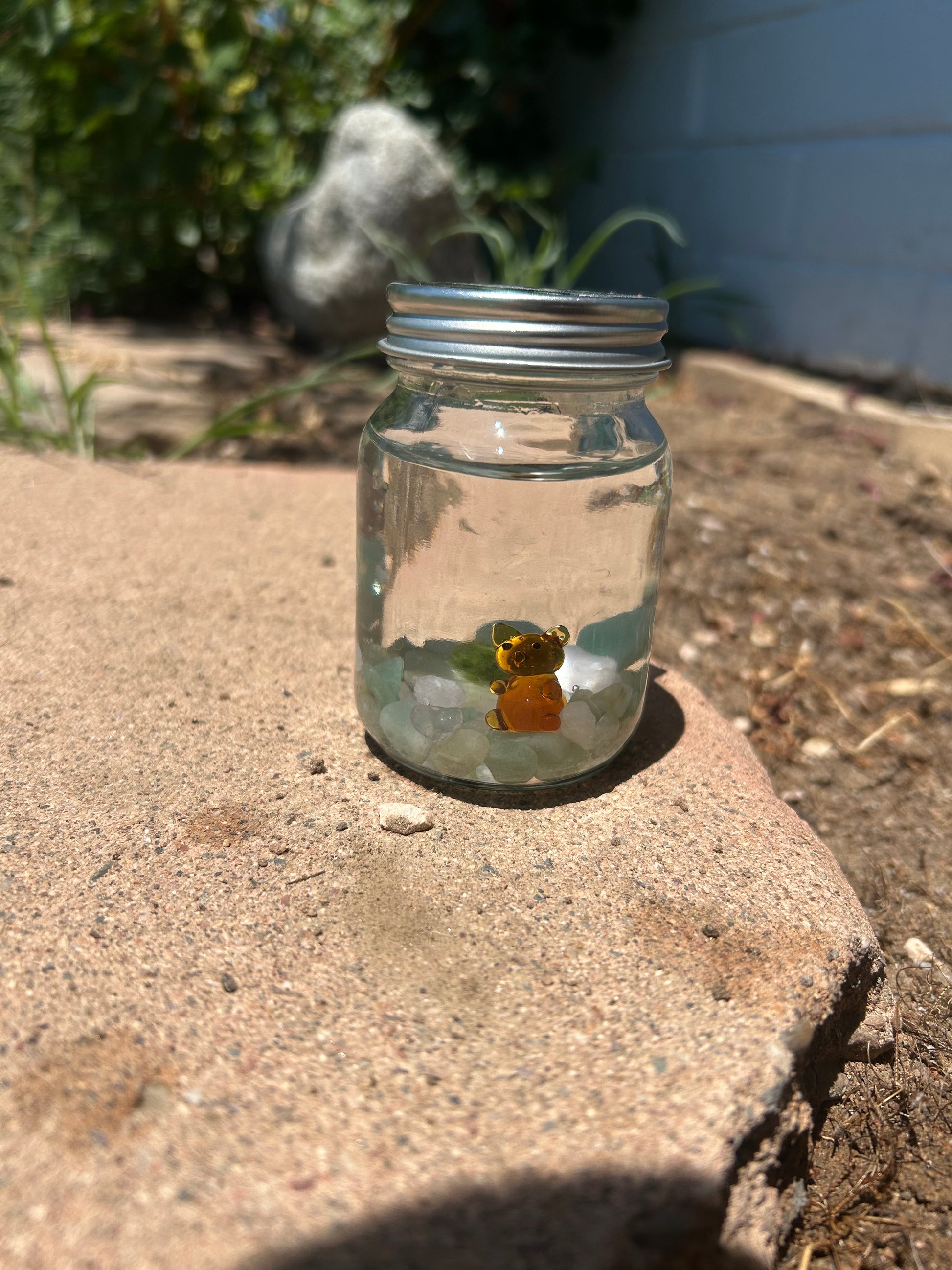 Marimo Mates Complete Kit with gemstones and Squirrel