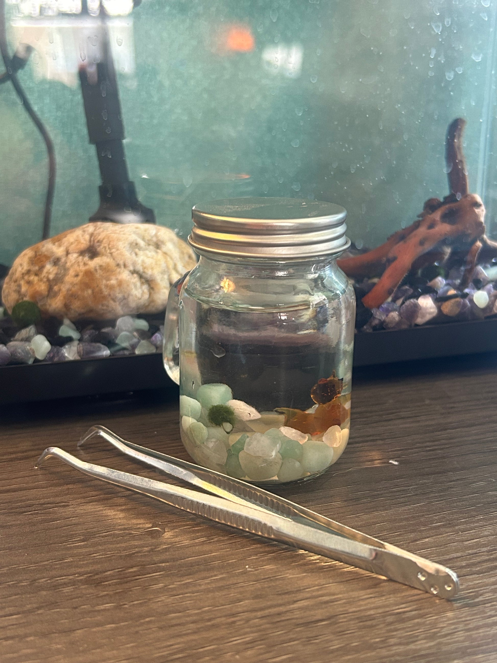 Marimo Mates Complete Kit with gemstones and Squirrel