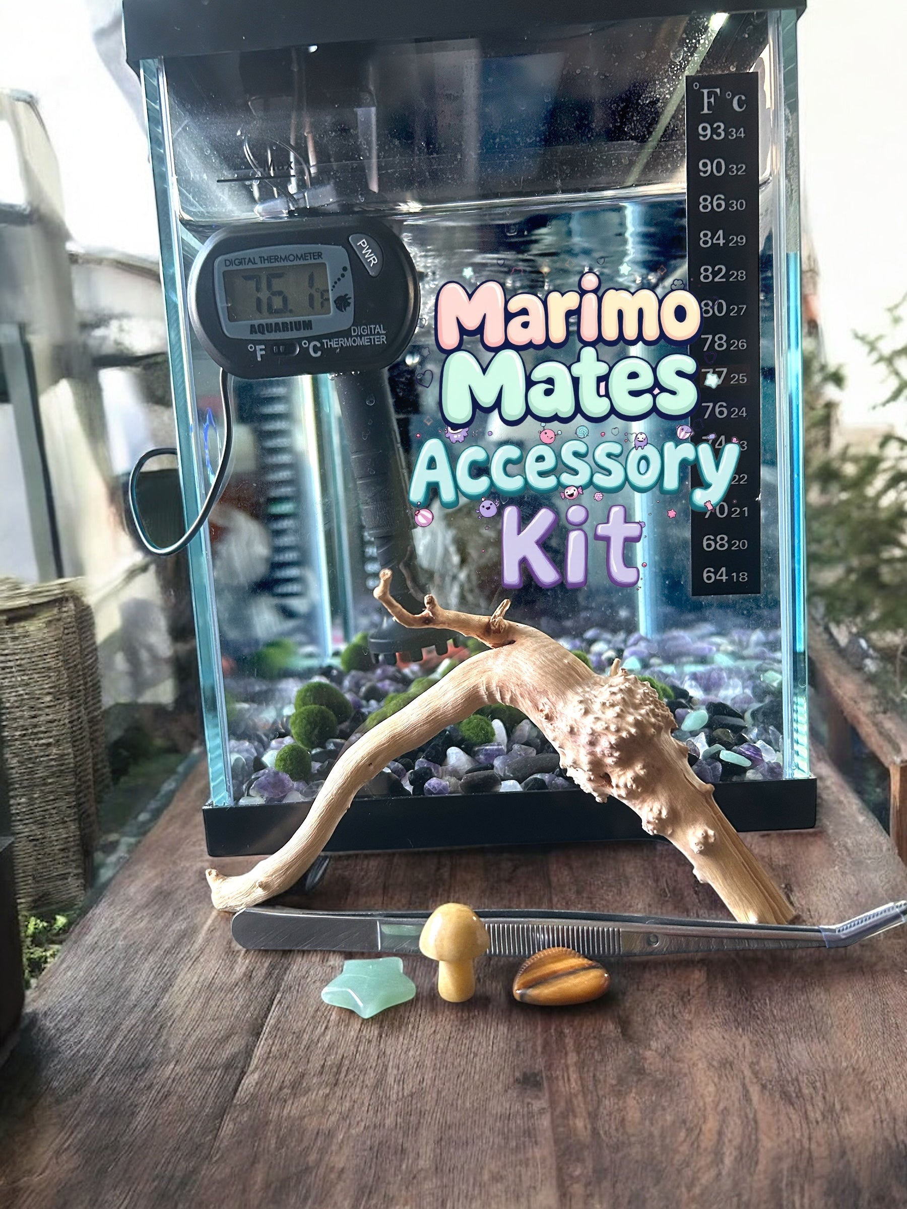 Marimo Care Kit, Accessories for Marimo Mates