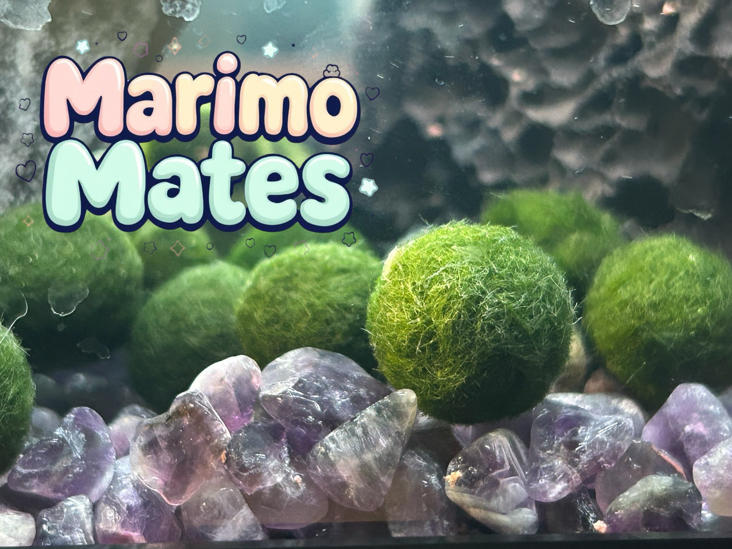 つるりんこ marimo クリニコ つるりんこPowerful(600g) 643924 1箱(8袋) - アスクル