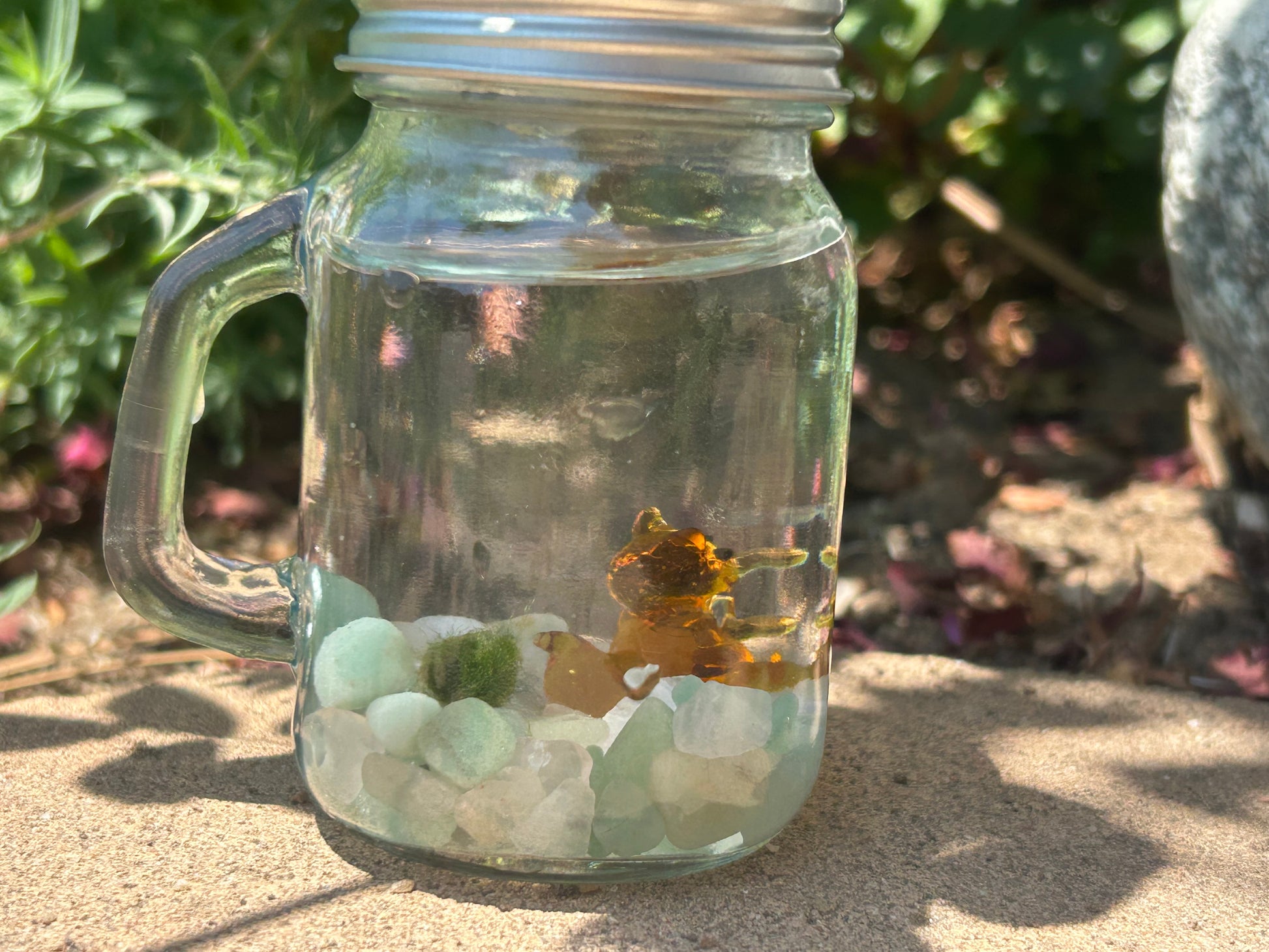 Marimo Mates Complete Kit with gemstones and Squirrel