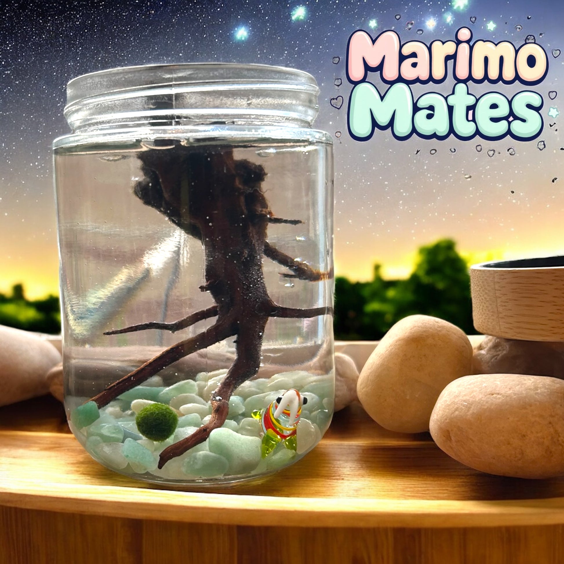 Complete Marimo Mates Moss Ball Kit