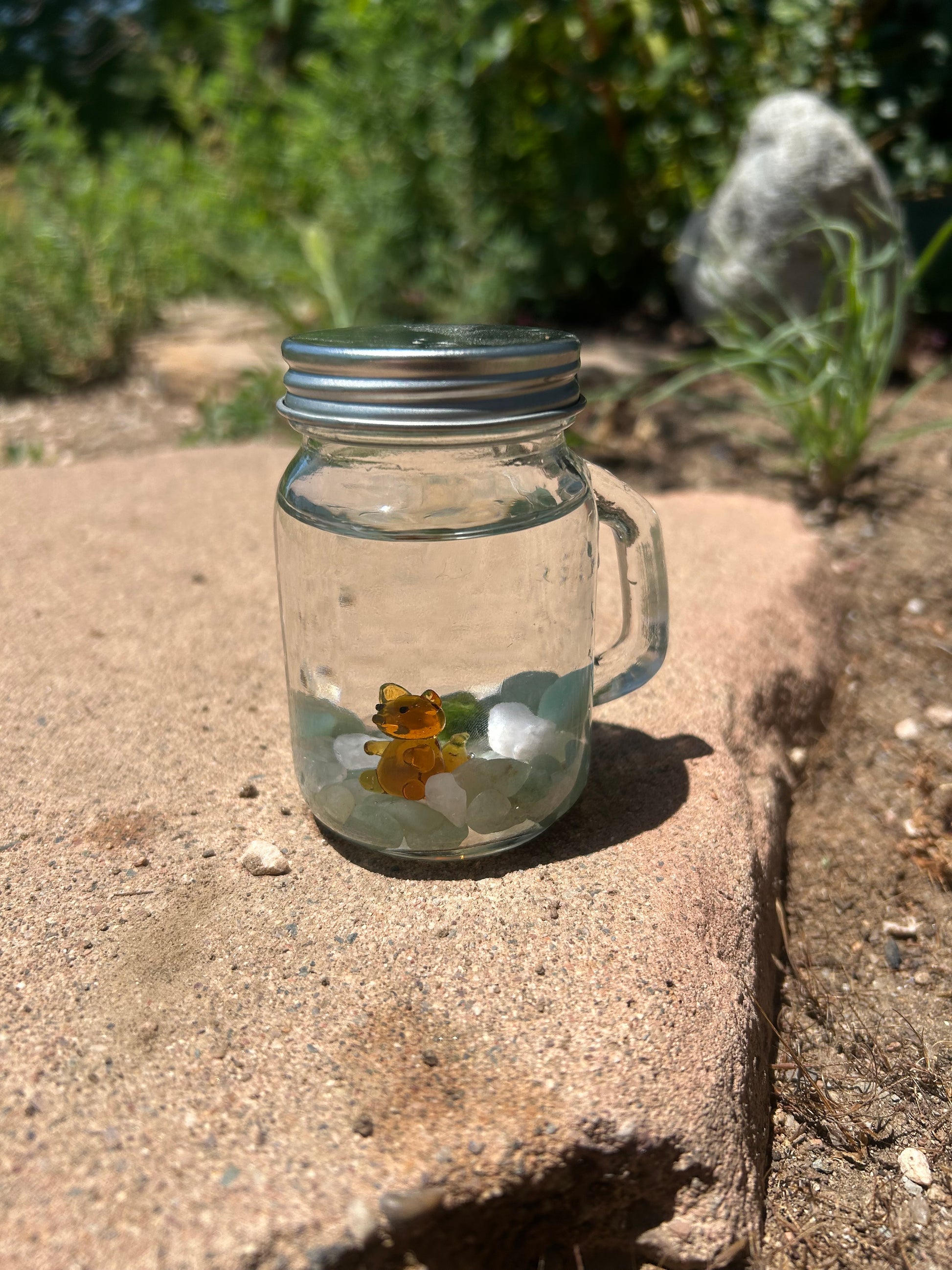 Marimo Mates Complete Kit with gemstones and Squirrel