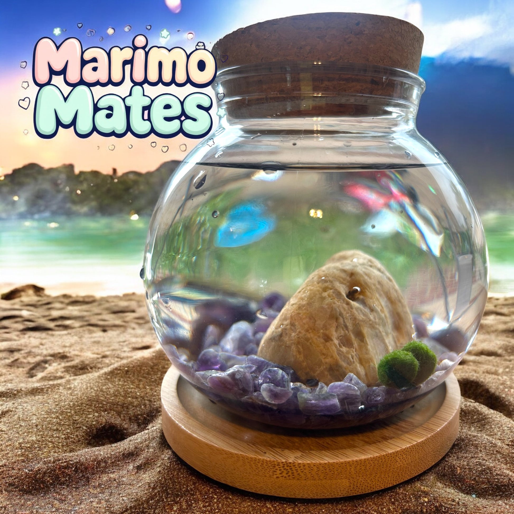 Marimo Mates Complete Kit, with Frasier and Niles