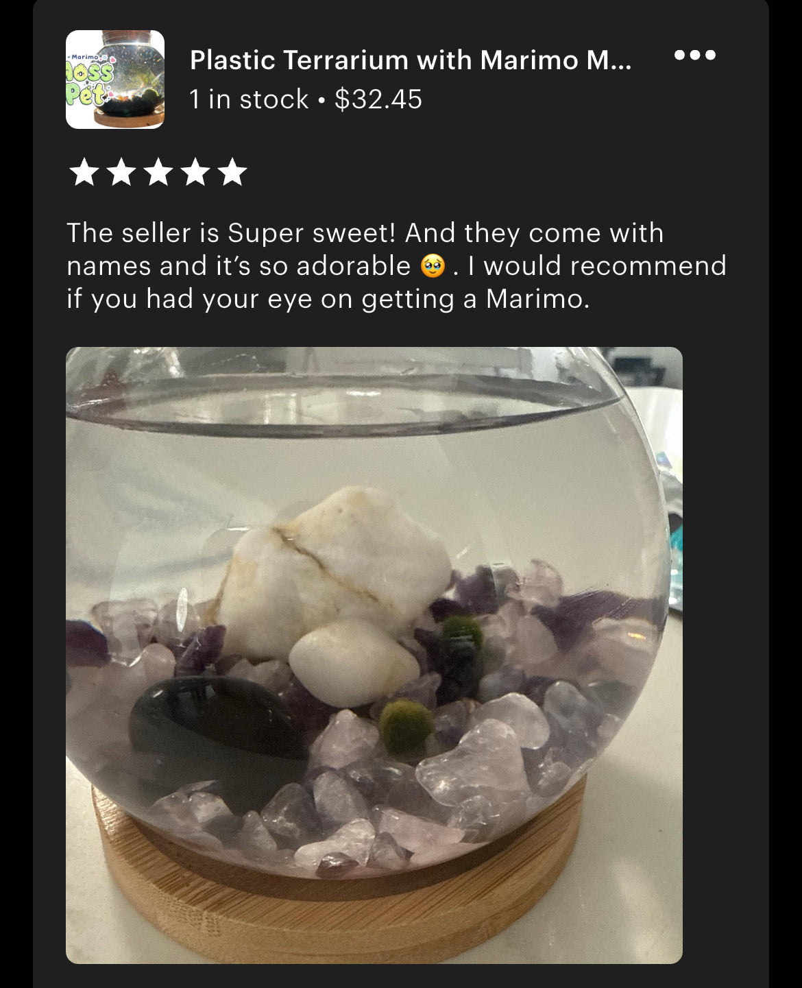 Five star review for Marimo mates