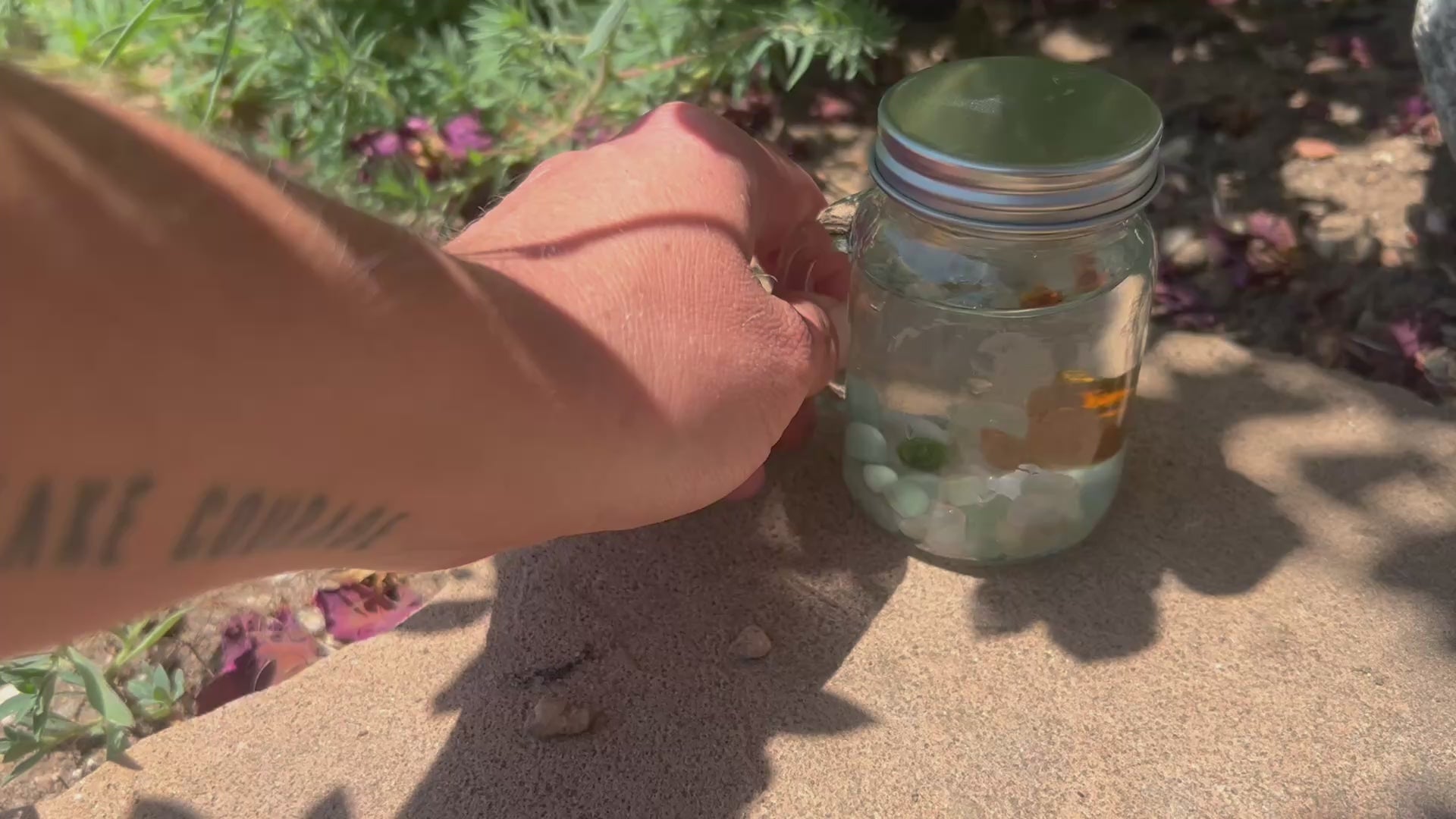 Marimo Mates Complete Kit with gemstones and Squirrel