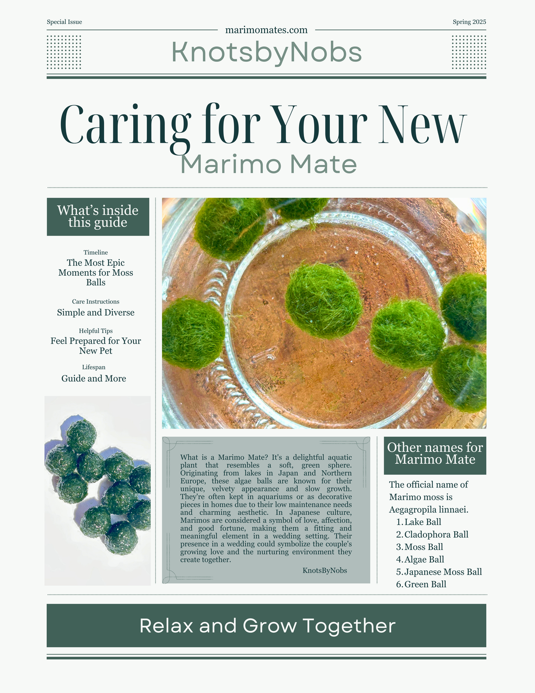 Marimo Mates Complete Care Guide for Japanese Algae Balls