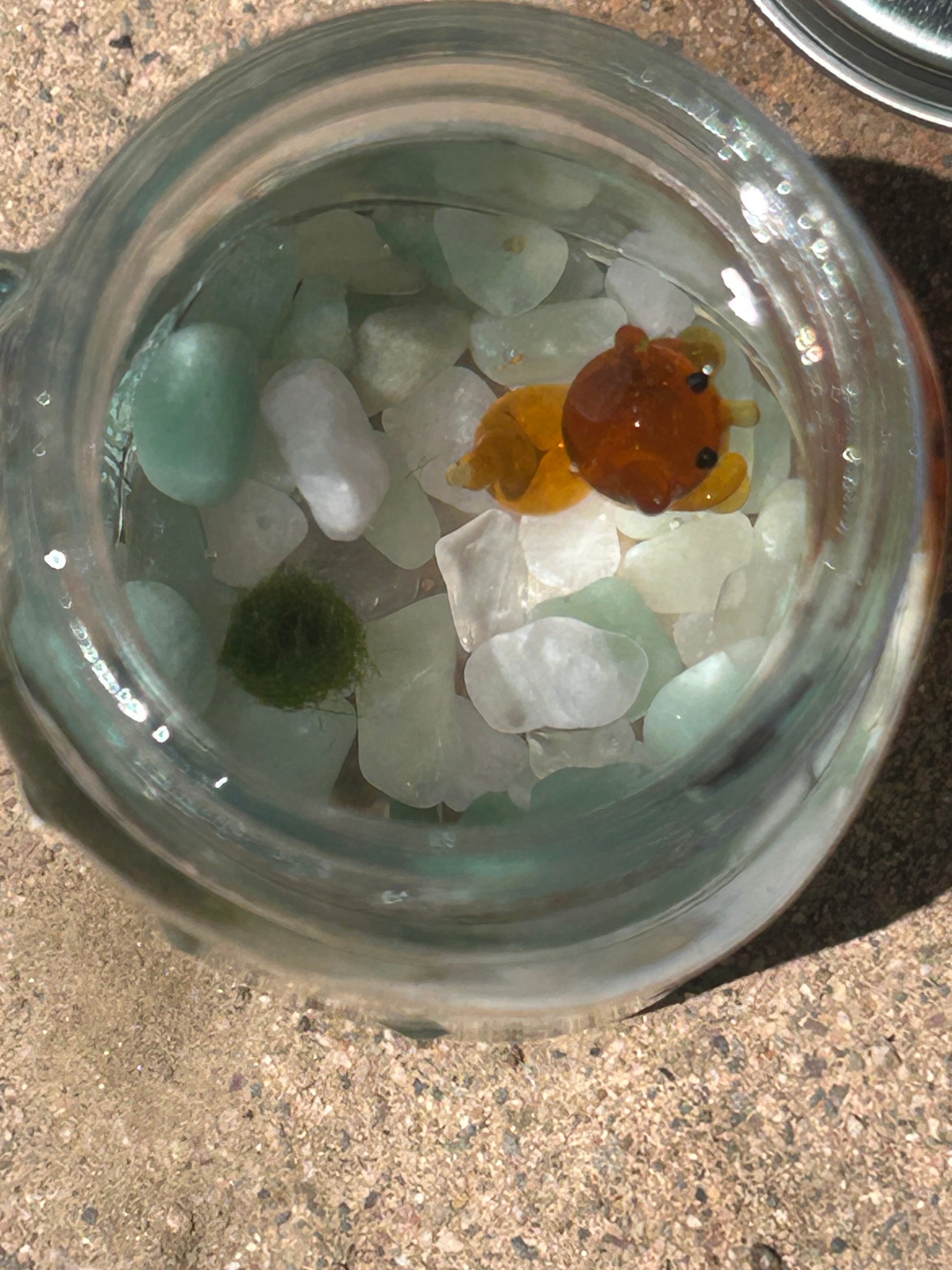 Marimo Mates Complete Kit with gemstones and Squirrel