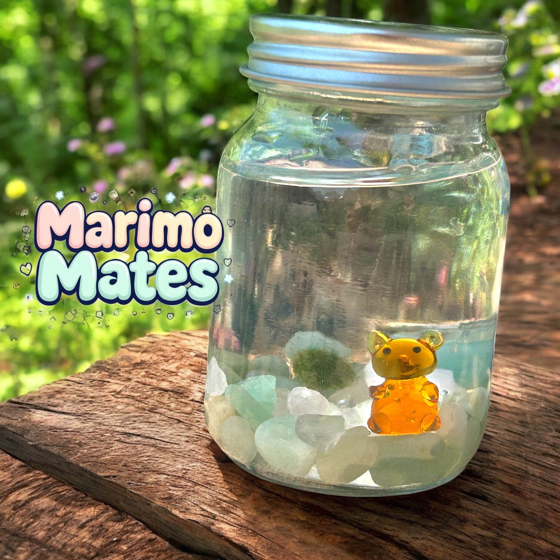 Marimo Mates Complete Kit with gemstones and Squirrel