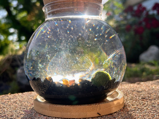 Marimo Fish-Style Bowl
