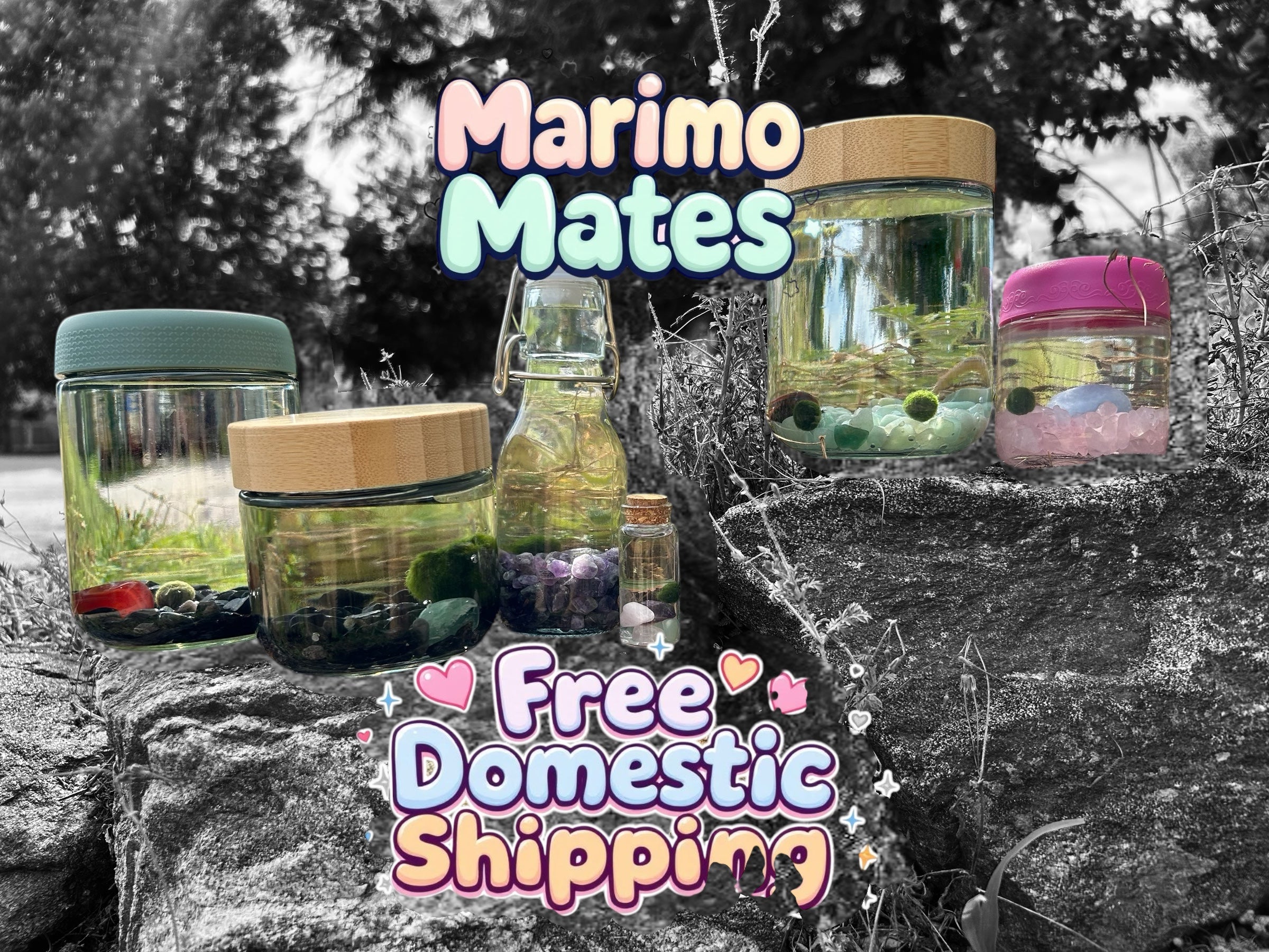 Free domestic shipping on all Marimo mates products