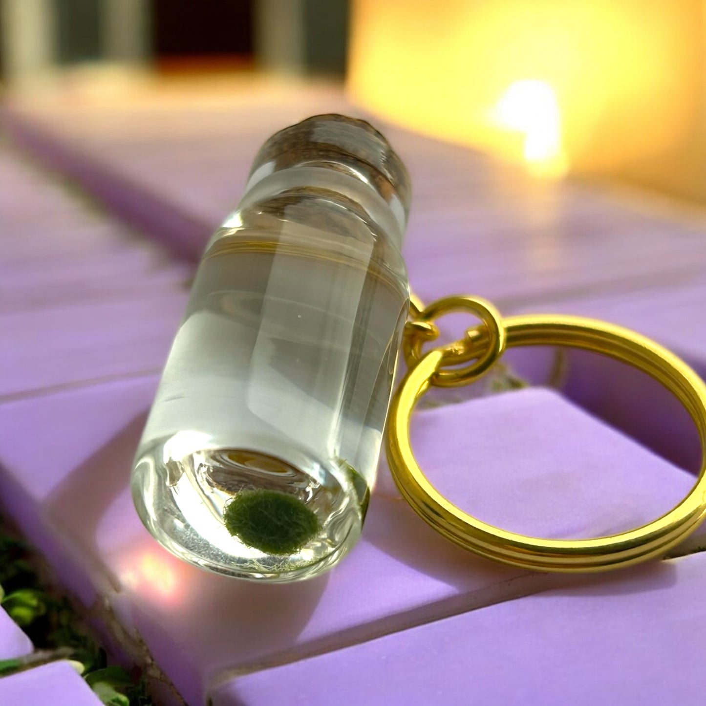The bottom view of our Marimo mate moss ball Keychain 