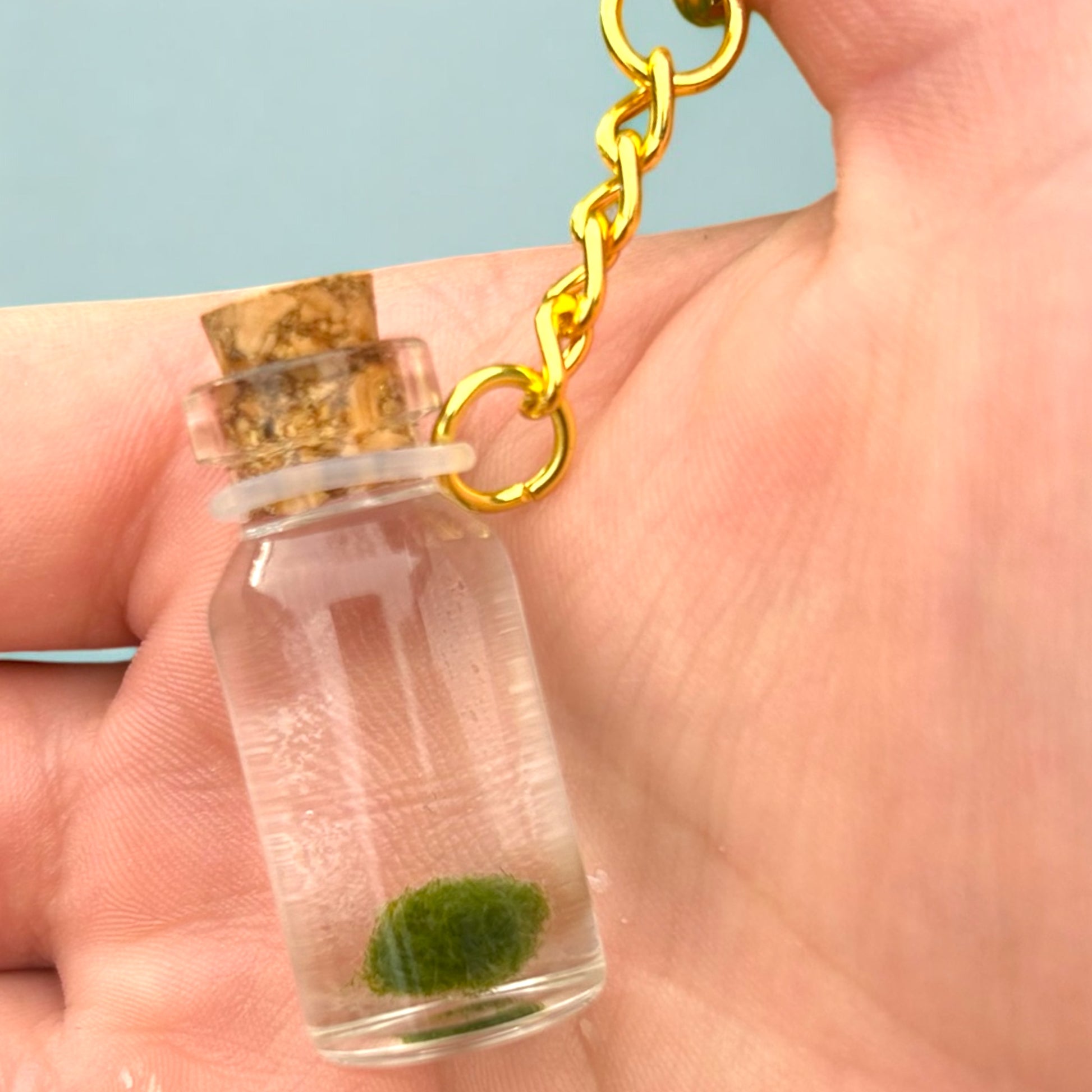 Keychain with Marimo Mate In a vial