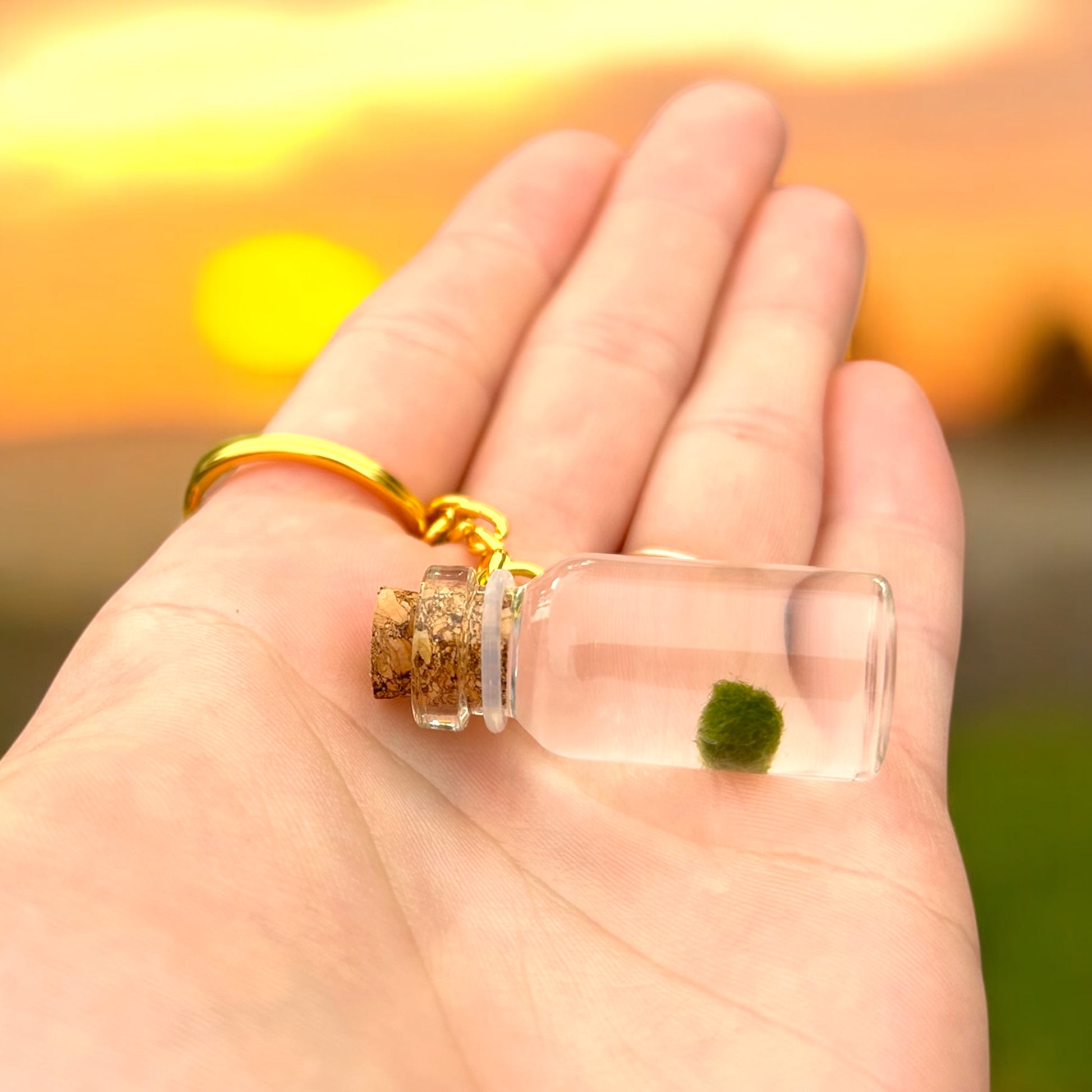 Keychain with Marimo Mate Inside living cladophora ball