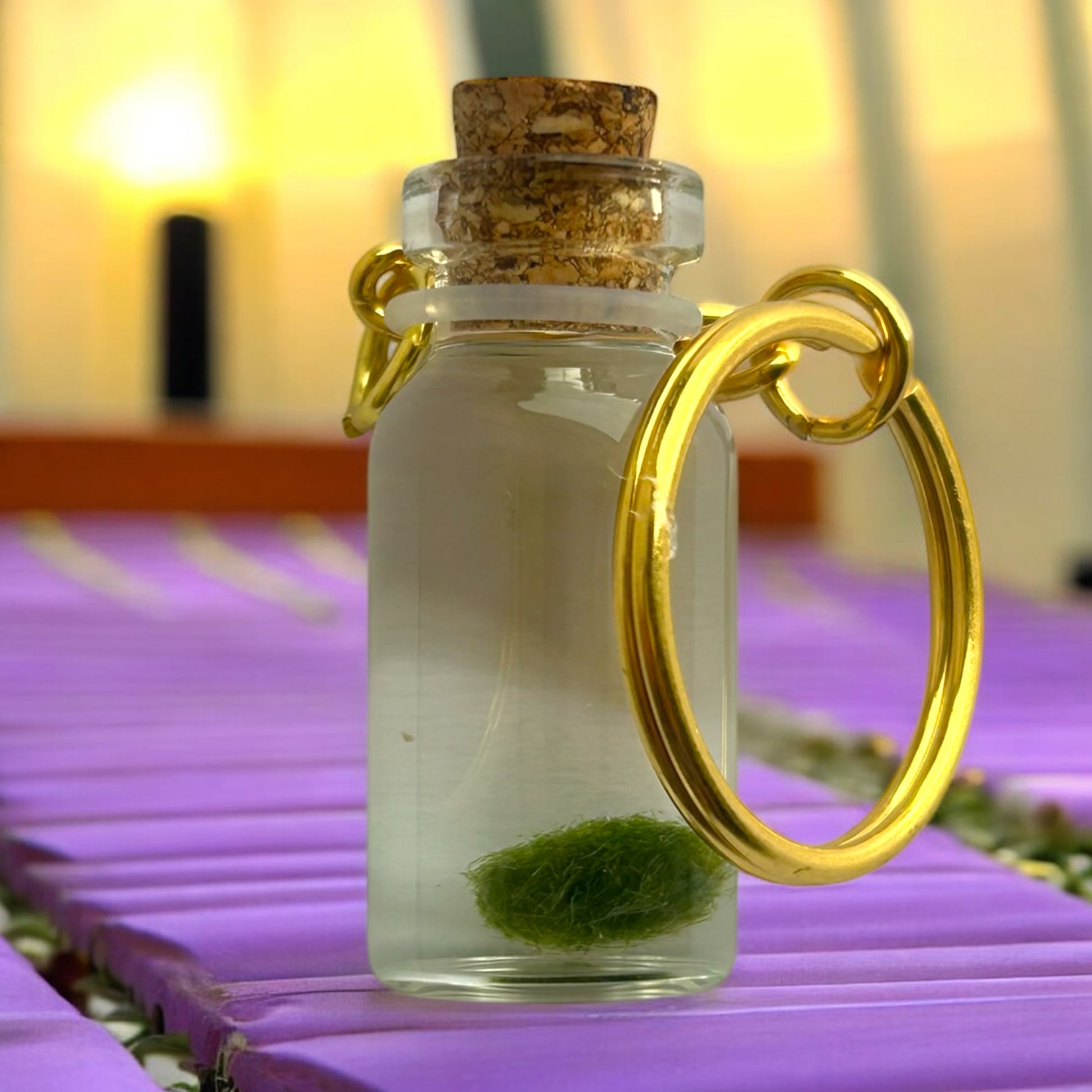 Marimo Mate Keychain with vial and Marimo moss ball inside