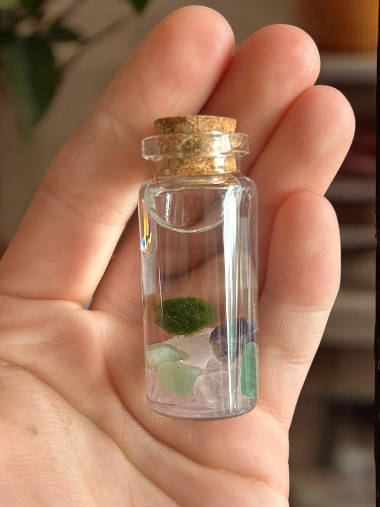 A Marimo Mate inside a 10mL vial with gemstones