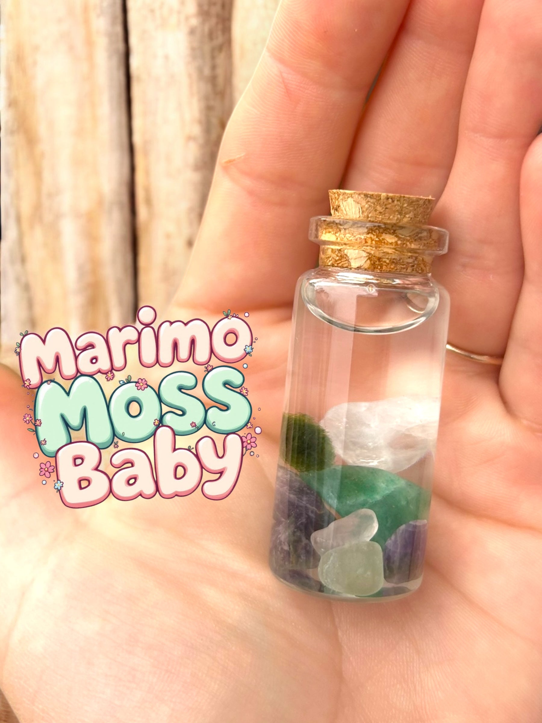 Marimo Moss Baby in 10mL vial with gemstones