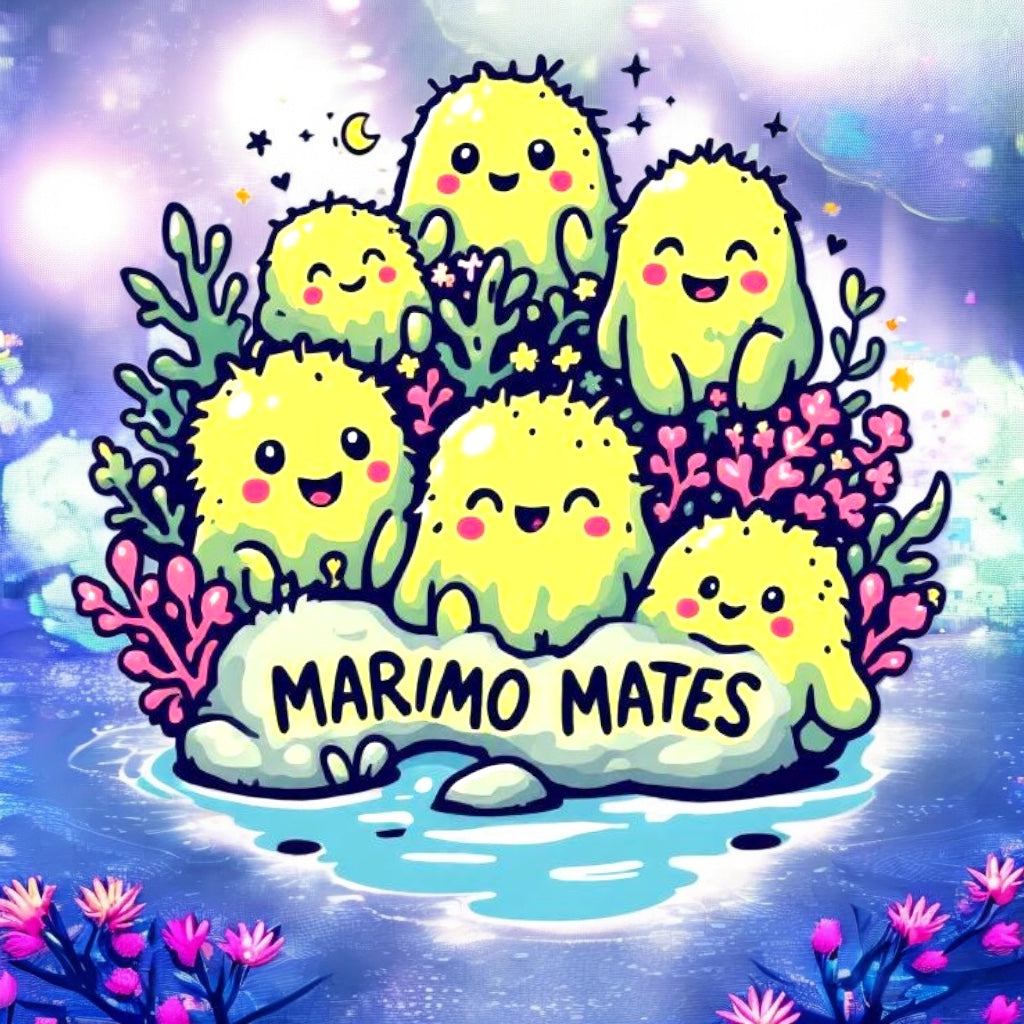 Marimo Mates