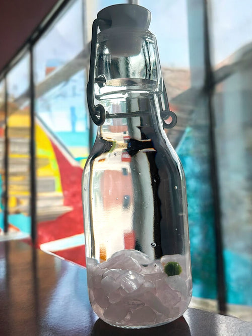 Swing top bottle baby featuring Japanese algae ball small