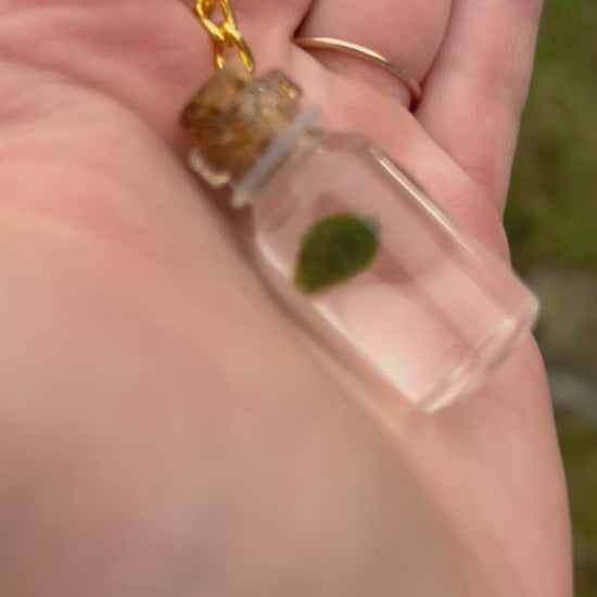 Living Marimo mate keychain